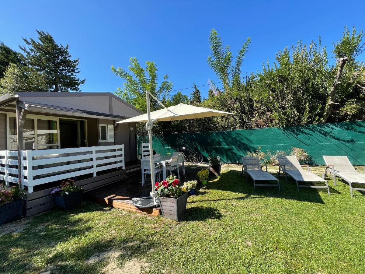 Avignon, Joli Chalet En Campagne Tres Proche De La Ville Exteriör bild